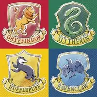 Ubrousek 33cm "Harry Potter" 16ks